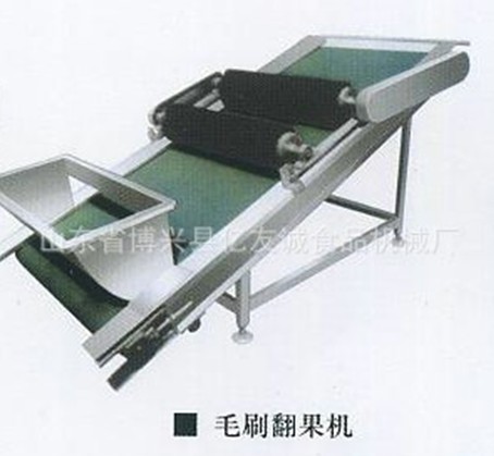 毛刷翻果機